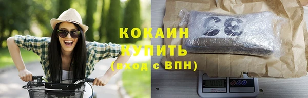 прущие грибы Каменка