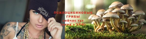 ALPHA-PVP Иннополис