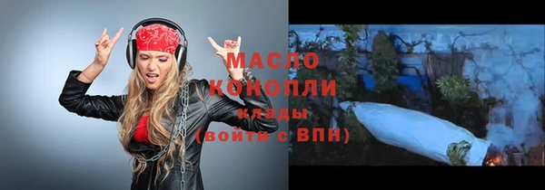 дмт Инсар