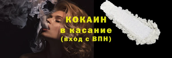 дмт Инсар