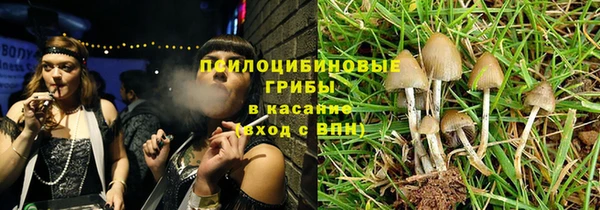таблы Каменногорск