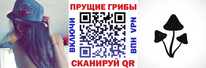 Галлюциногенные грибы Cubensis  кракен tor  Нижнекамск 