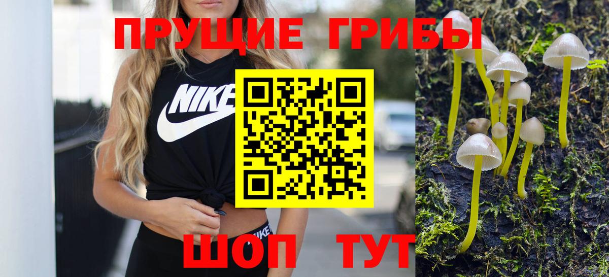 Псилоцибиновые грибы Psilocybe  Вход с VPN  дарнет шоп  Нижнекамск 
