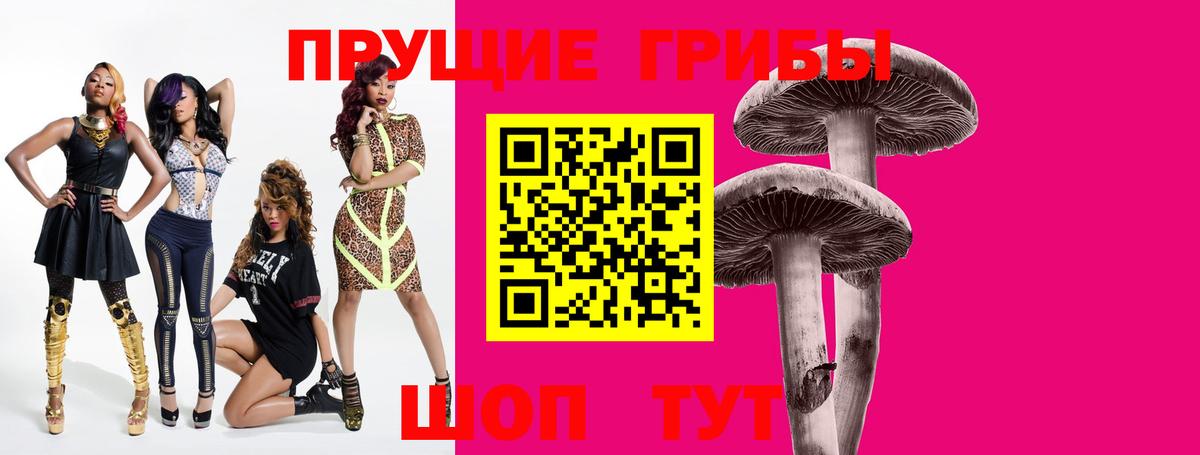 Псилоцибиновые грибы MAGIC MUSHROOMS  Псилоцибиновые грибы прущие грибы  Нижнекамск 